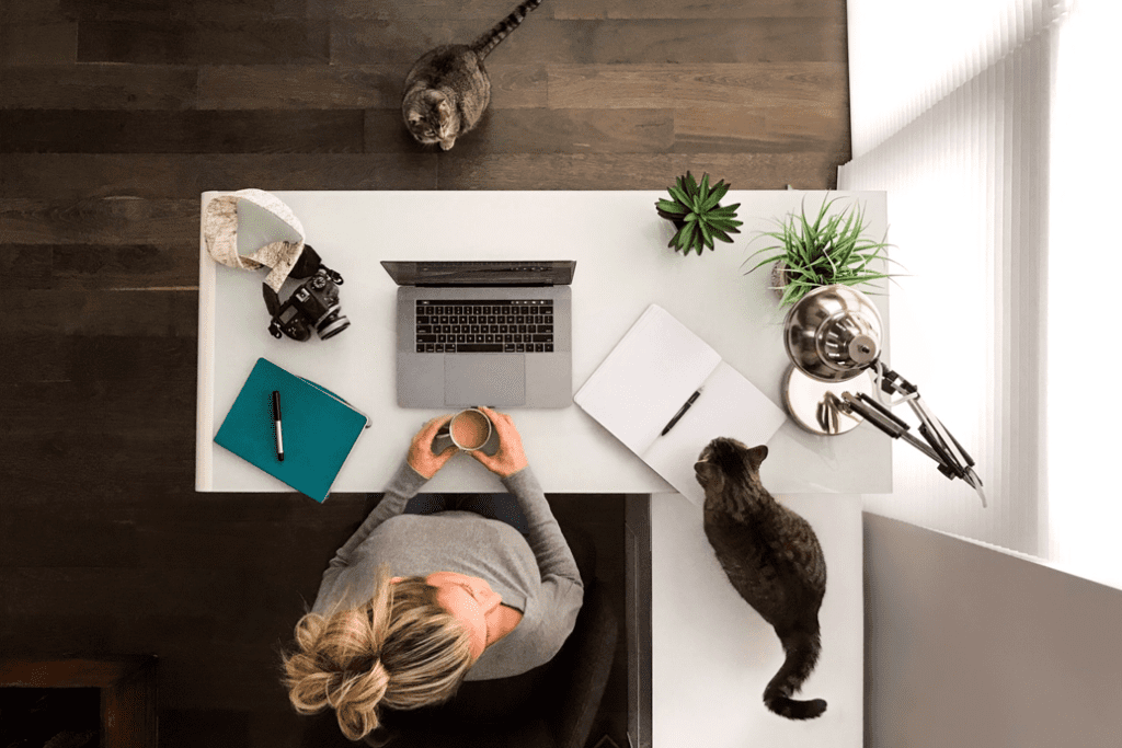 Setting Up a Home Office: What To Know - Basement Office