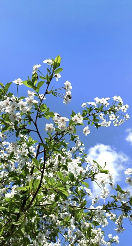 5 Tips For Making Your Home Stand Out in the Spring Market