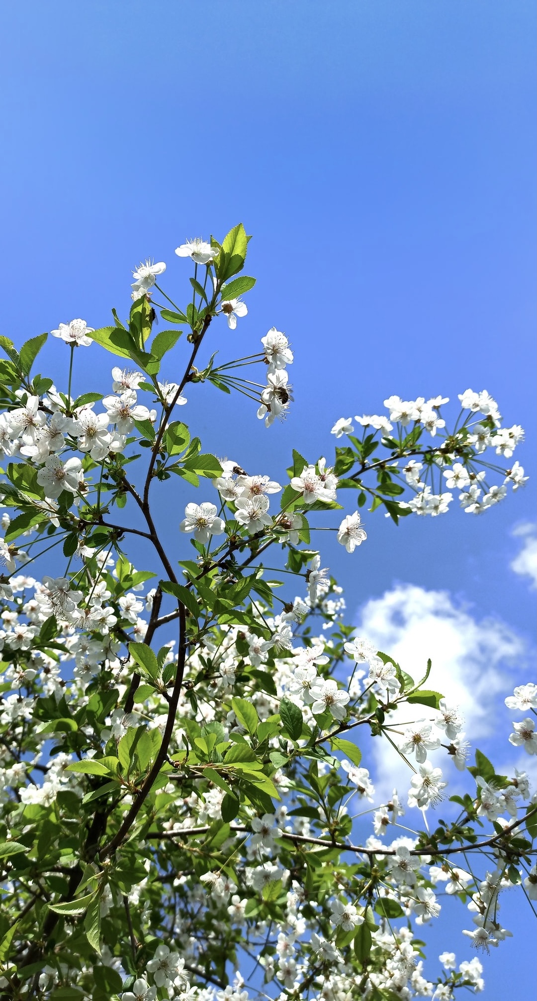 5 Tips For Making Your Home Stand Out in the Spring Market