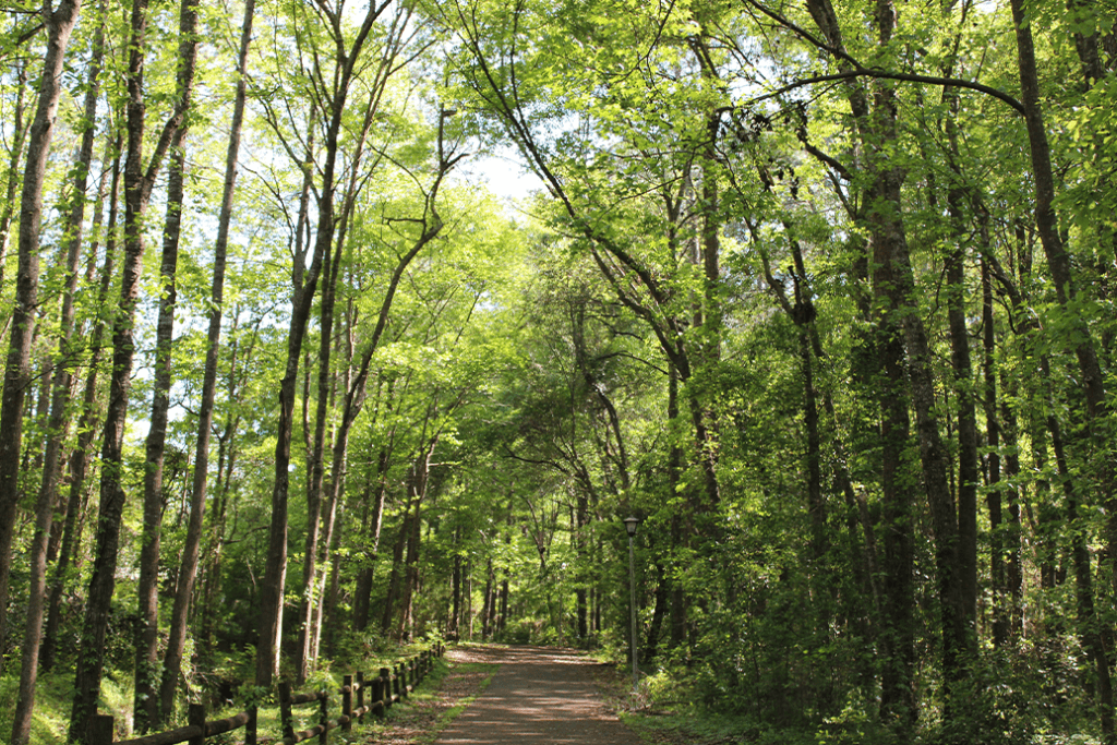 5 Milton Parks to Visit This Spring
