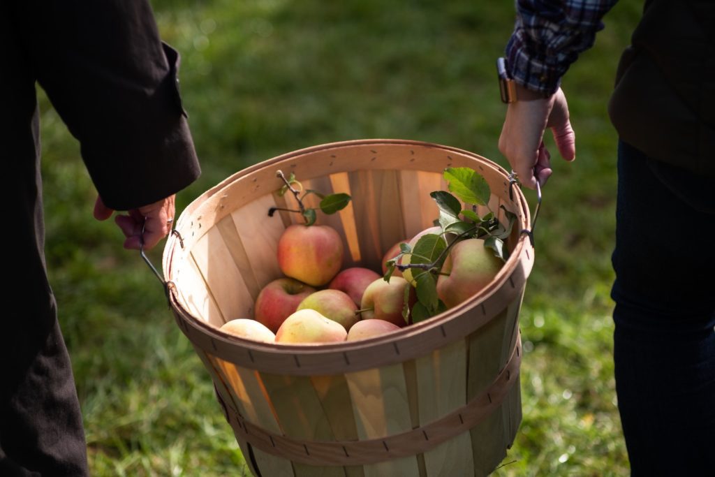 5 Fun Fall Activities in Milton and Burlington