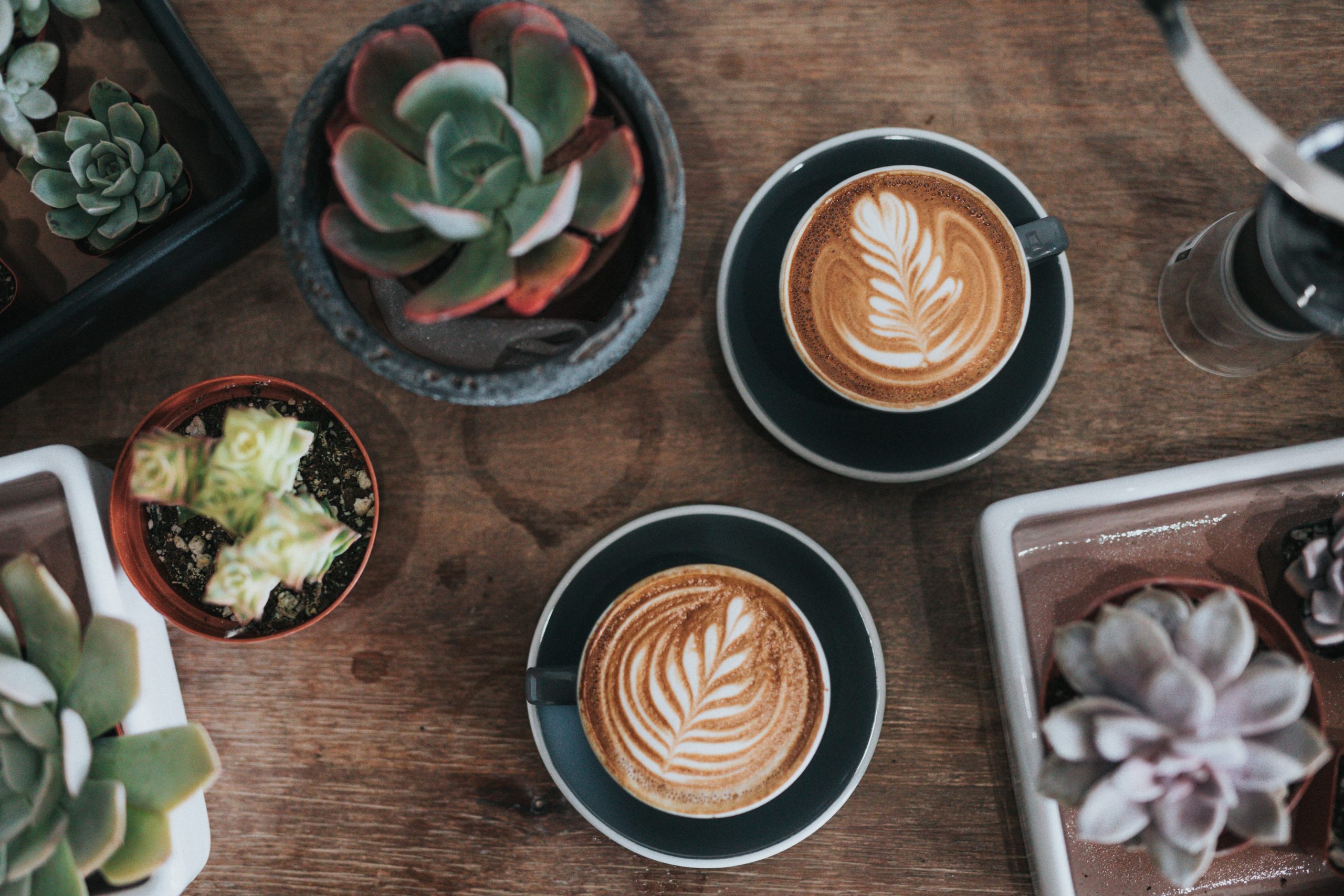 5 Questions You’ve Always Wanted to Ask a Mortgage Broker